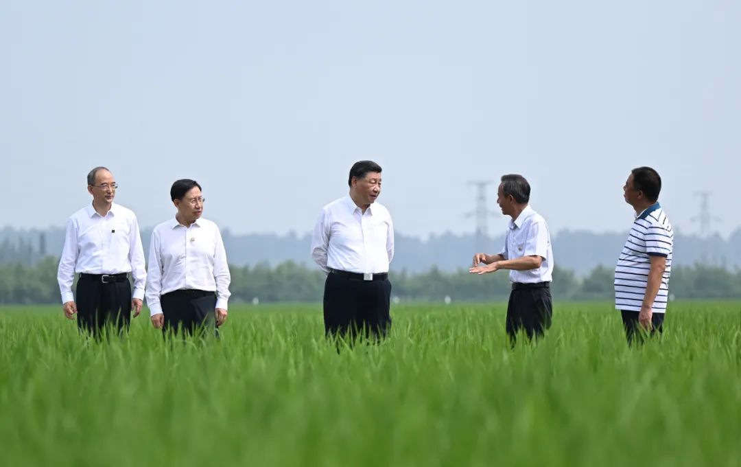 习近平在四川眉山市考察调研